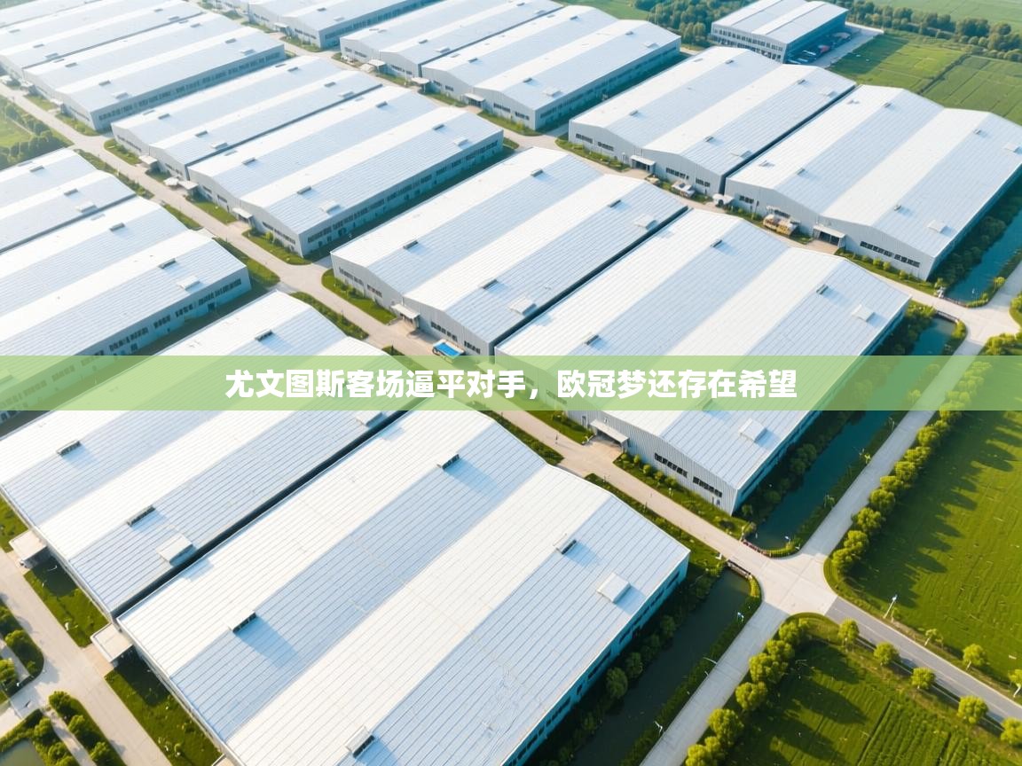 尤文图斯客场逼平对手,欧冠梦还存在希望 第2张